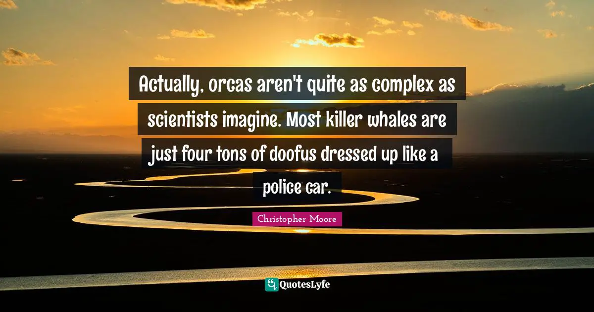 Actually, orcas aren't quite as complex as scientists imagine. Most killer whales are just four tons of doofus dressed up like a police car.