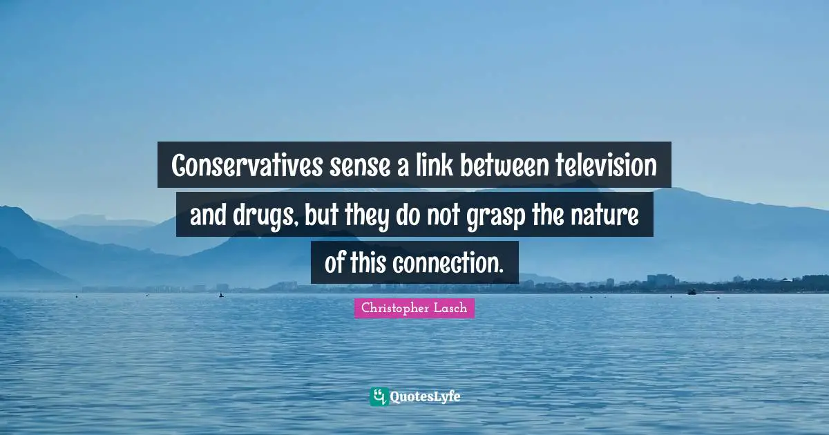 Conservatives sense a link between television and drugs, but they do not grasp the nature of this connection.
