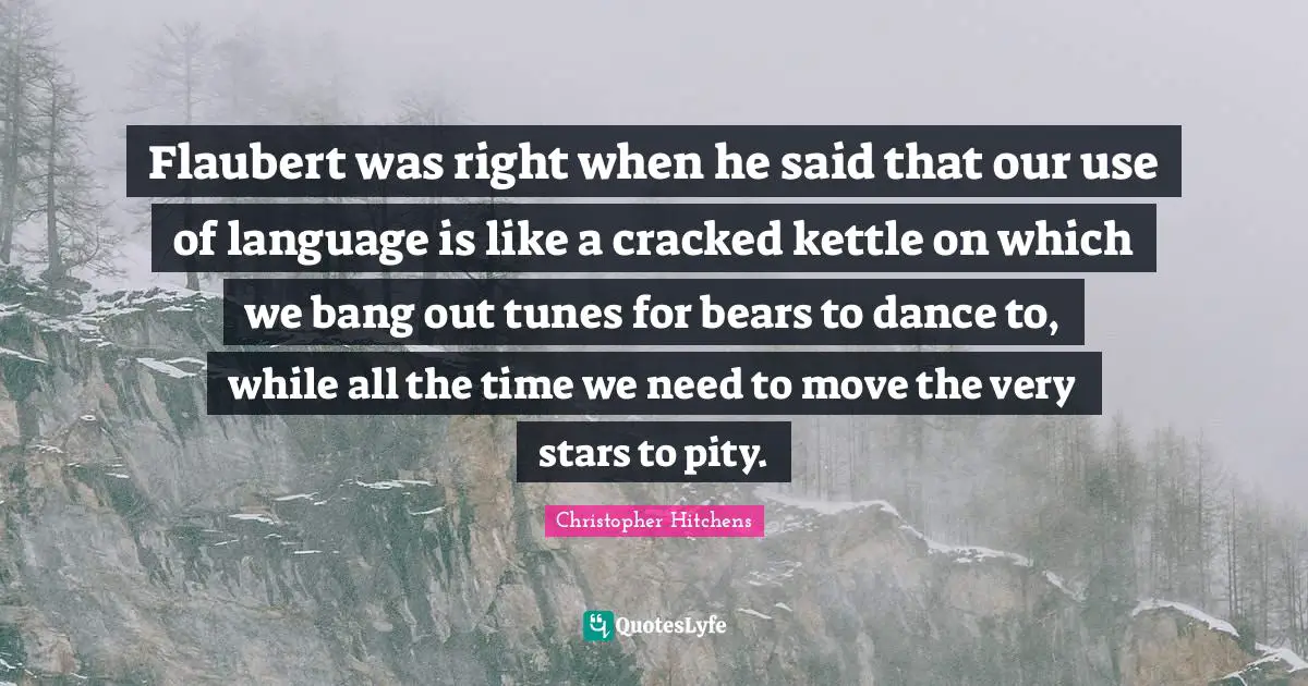 Flaubert was right when he said that our use of language is like a cracked kettle on which we bang out tunes for bears to dance to, while all the time we need to move the very stars to pity.
