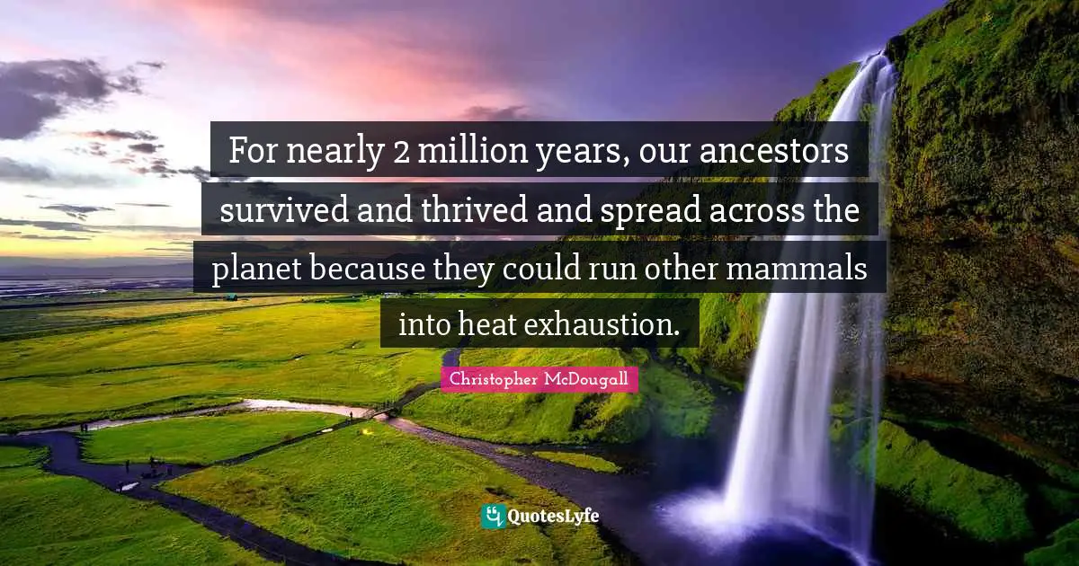 For nearly 2 million years, our ancestors survived and thrived and spread across the planet because they could run other mammals into heat exhaustion.
