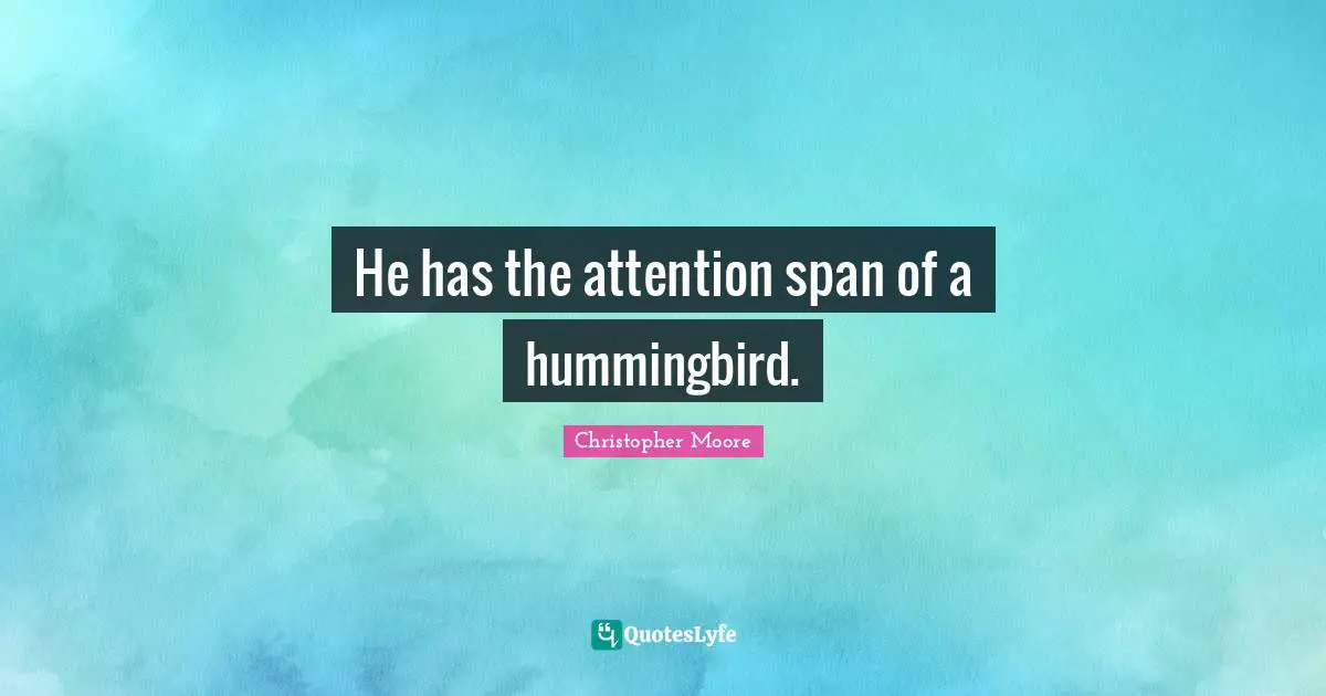 Attention Span Quotes: "He has the attention span of a hummingbird."