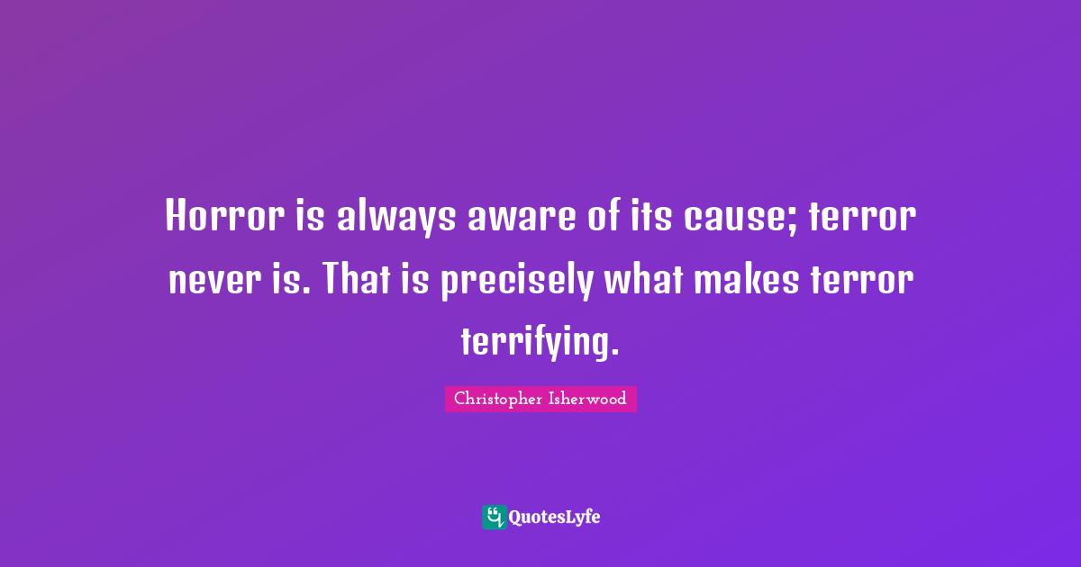 Horror is always aware of its cause; terror never is. That is precisely what makes terror terrifying.