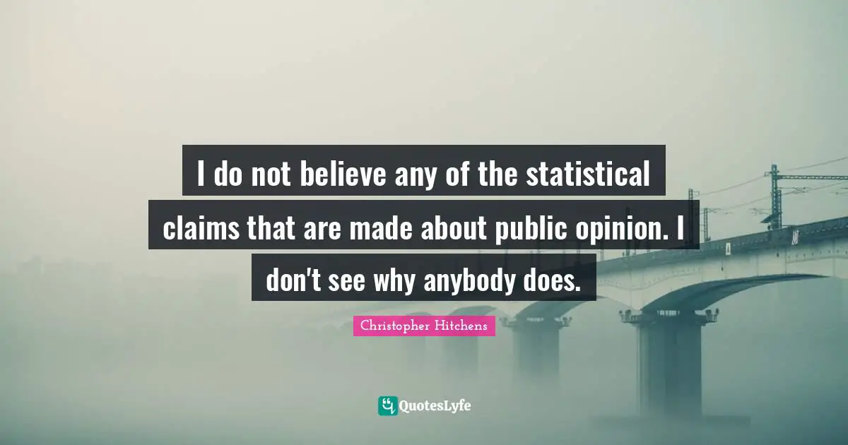 I do not believe any of the statistical claims that are made about public opinion. I don't see why anybody does.