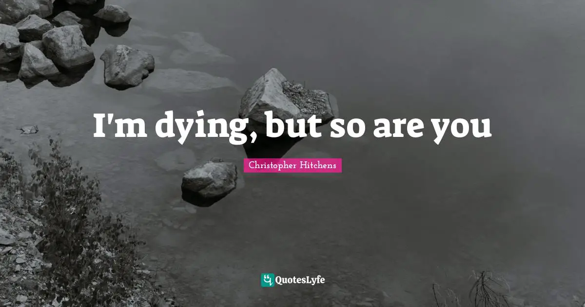 I'm dying, but so are you