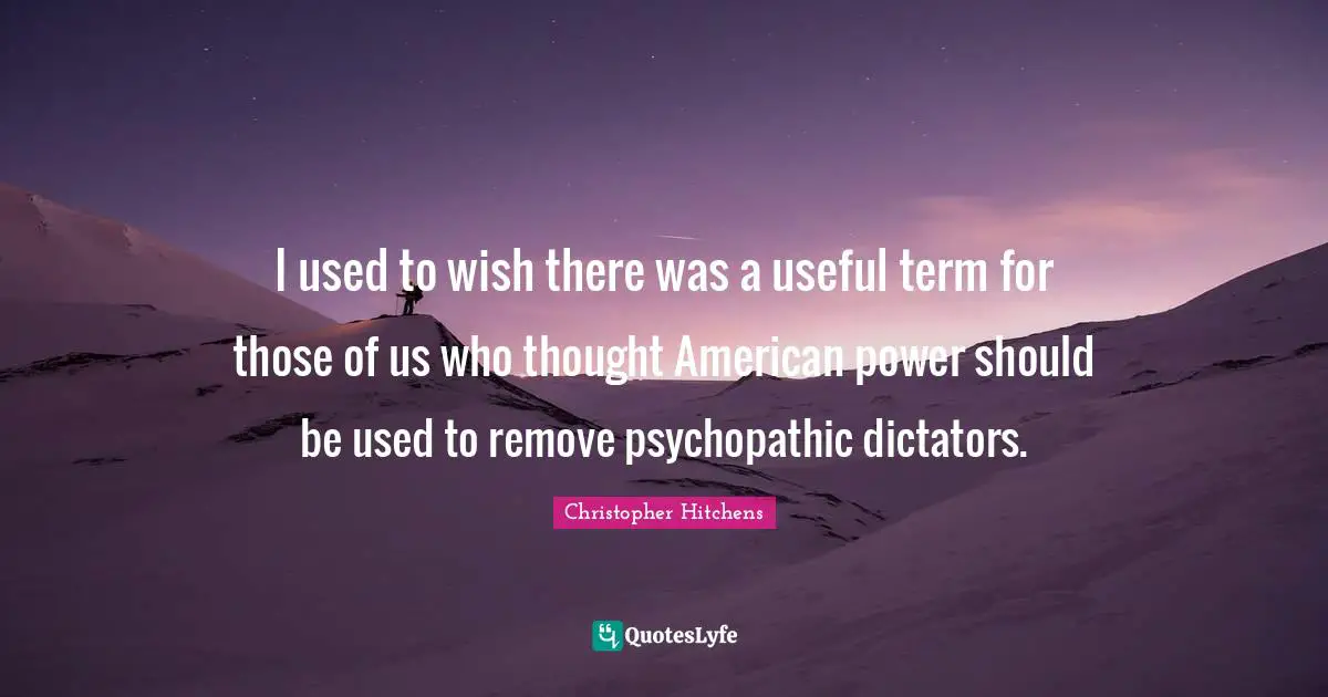 I used to wish there was a useful term for those of us who thought American power should be used to remove psychopathic dictators.