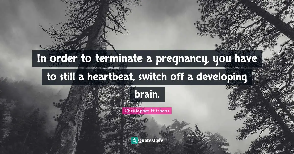 In order to terminate a pregnancy, you have to still a heartbeat, switch off a developing brain.