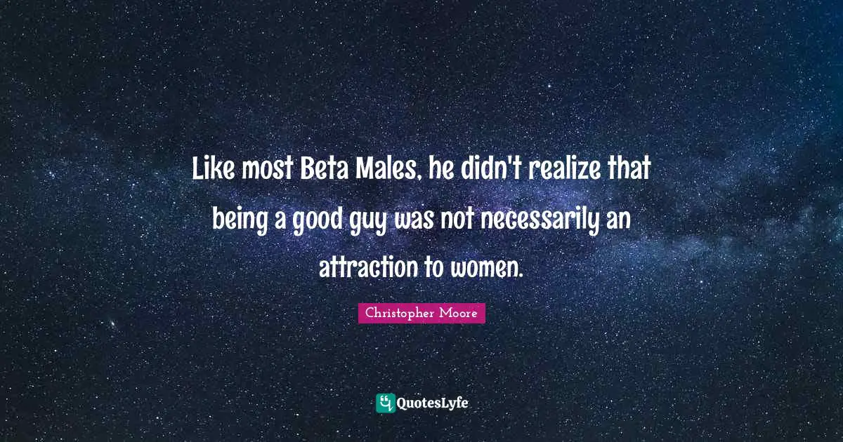 Like most Beta Males, he didn't realize that being a good guy was not necessarily an attraction to women.