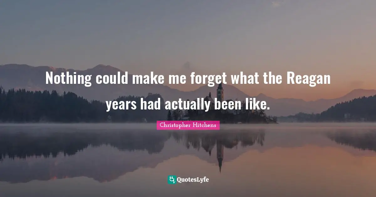 Nothing could make me forget what the Reagan years had actually been like.