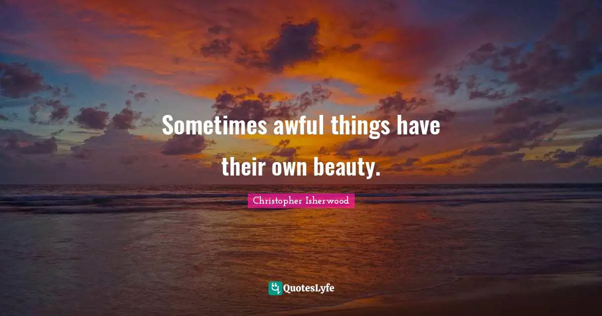 Sometimes awful things have their own beauty.