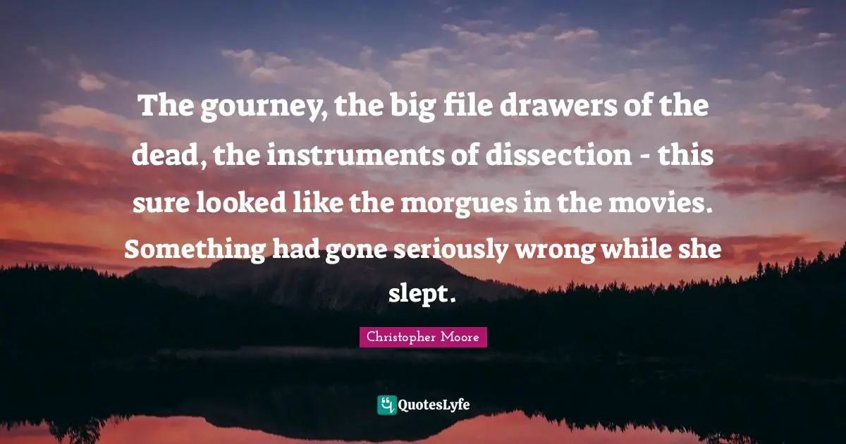 The gourney, the big file drawers of the dead, the instruments of dissection - this sure looked like the morgues in the movies. Something had gone seriously wrong while she slept.