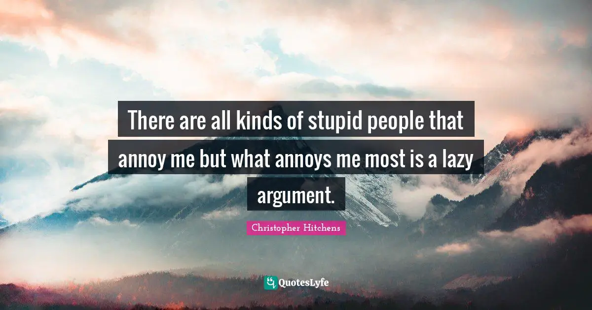 There are all kinds of stupid people that annoy me but what annoys me most is a lazy argument.