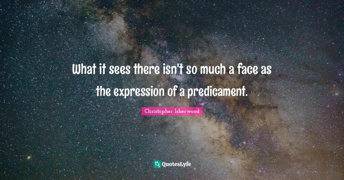 What it sees there isn't so much a face as the expression of a predicament.