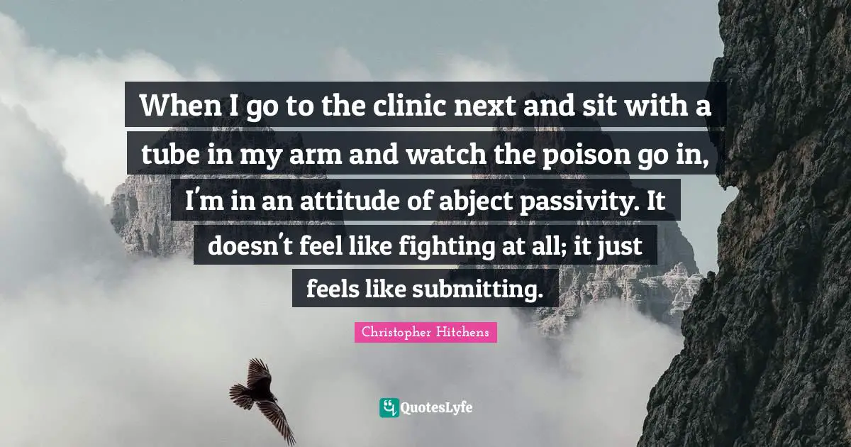 When I go to the clinic next and sit with a tube in my arm and watch the poison go in, I'm in an attitude of abject passivity. It doesn't feel like fighting at all; it just feels like submitting.