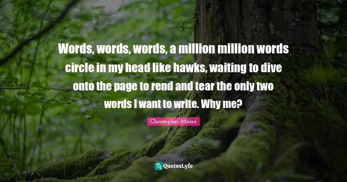 Words, words, words, a million million words circle in my head like hawks, waiting to dive onto the page to rend and tear the only two words I want to write. Why me?