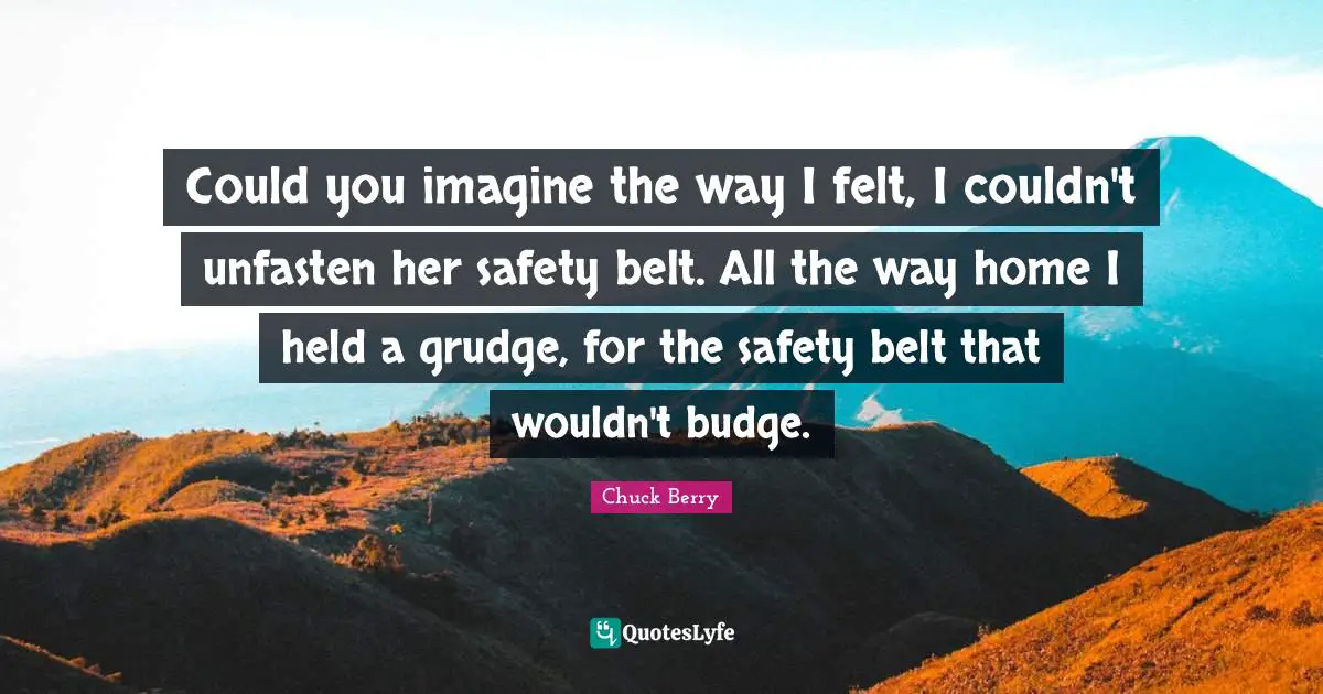 Could you imagine the way I felt, I couldn't unfasten her safety belt. All the way home I held a grudge, for the safety belt that wouldn't budge.
