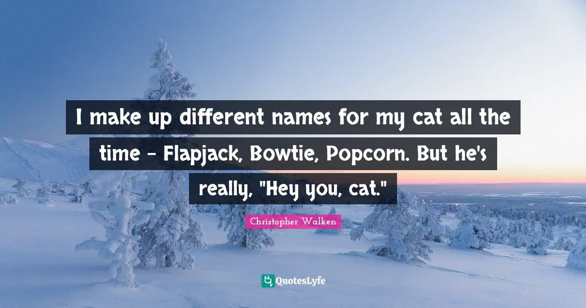 Christopher Walken Quotes: "I make up different names for my cat all the time - Flapjack, Bowtie, Popcorn. But he's really, "Hey you, cat.""