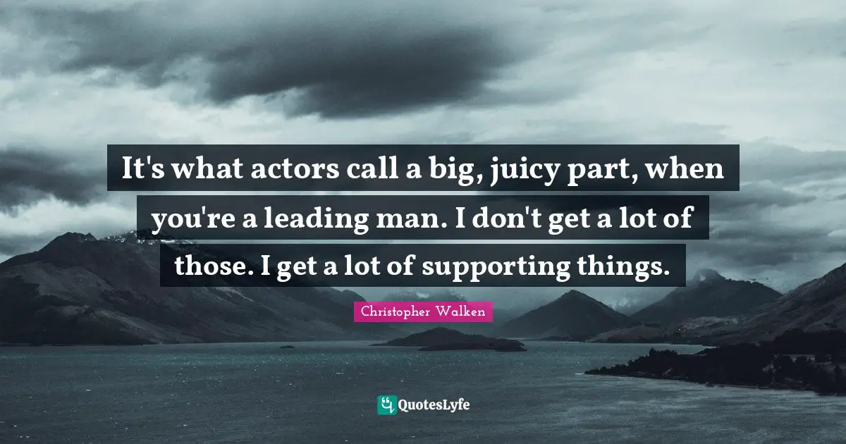 It's what actors call a big, juicy part, when you're a leading man. I don't get a lot of those. I get a lot of supporting things.