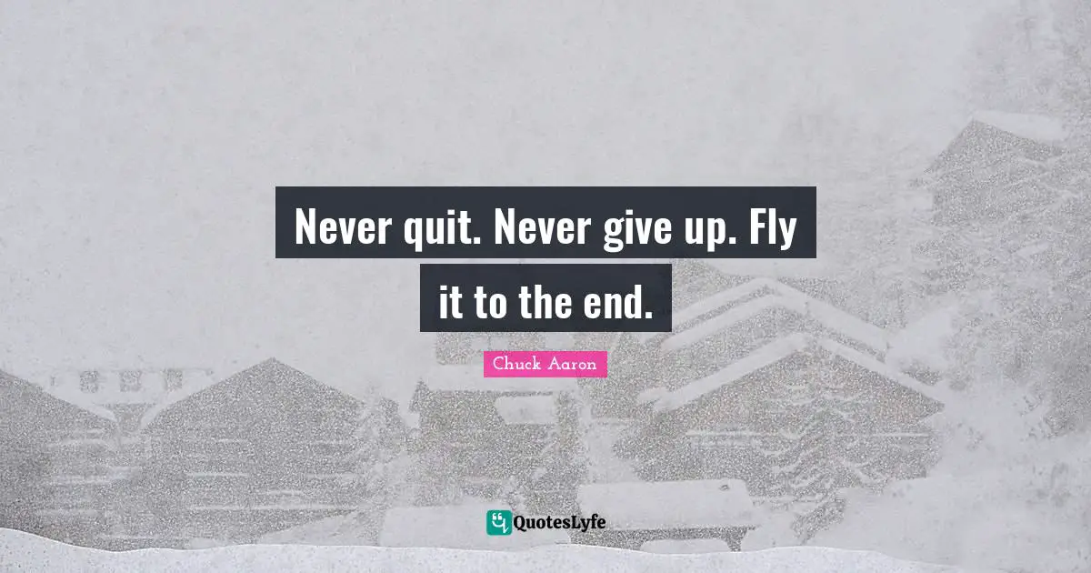 Never quit. Never give up. Fly it to the end.