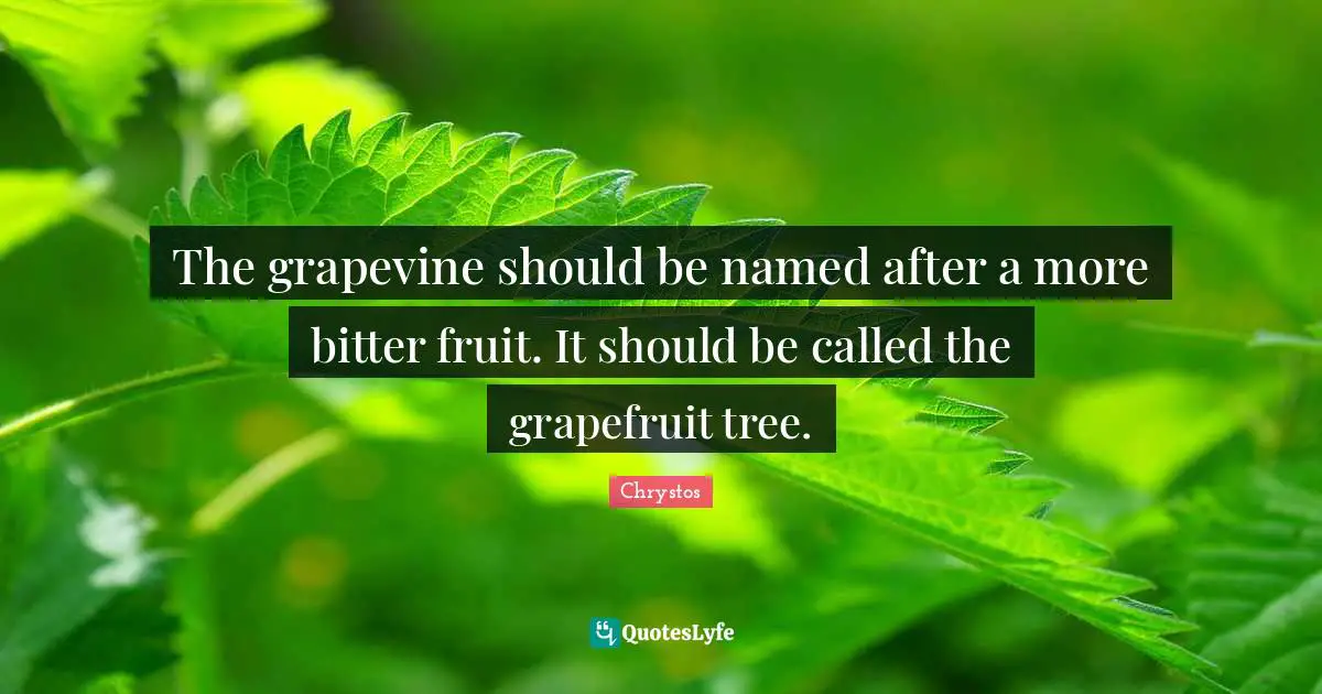 The grapevine should be named after a more bitter fruit. It should be called the grapefruit tree.