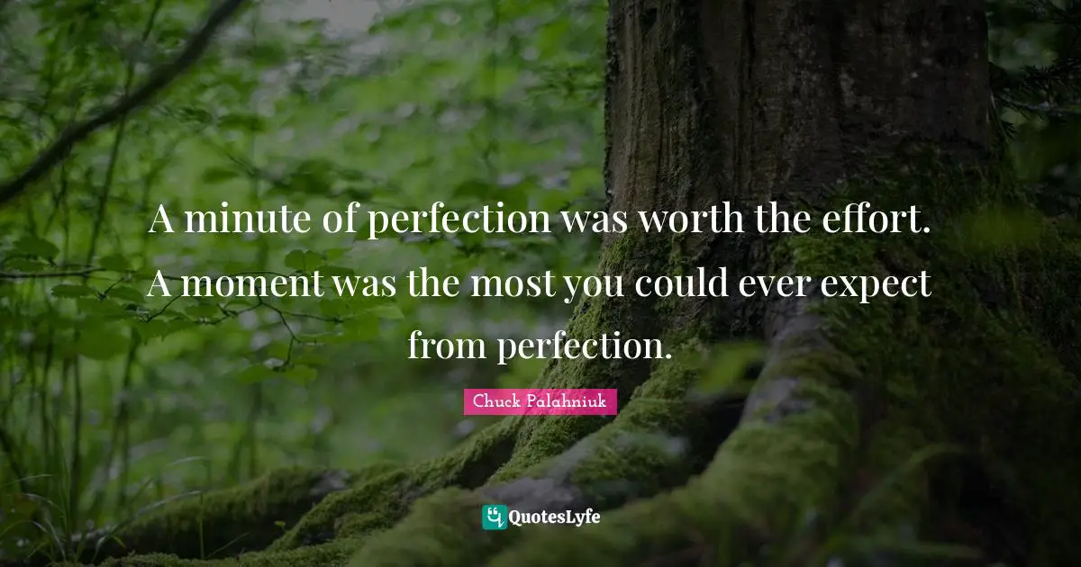 A minute of perfection was worth the effort. A moment was the most you could ever expect from perfection.