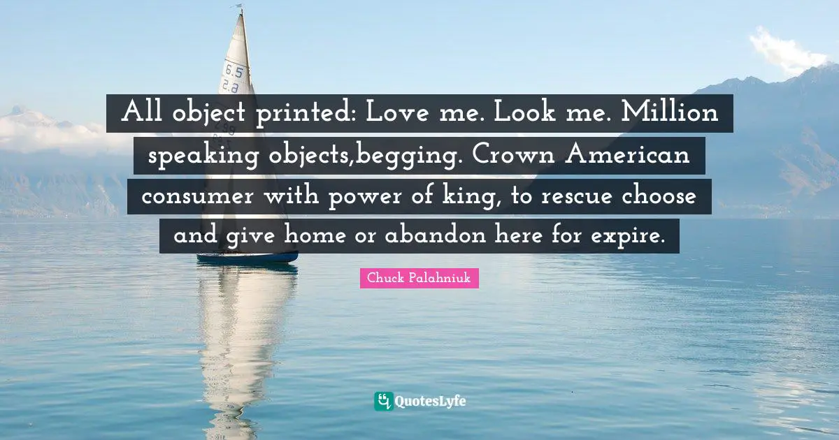 All object printed: Love me. Look me. Million speaking objects,begging. Crown American consumer with power of king, to rescue choose and give home or abandon here for expire.