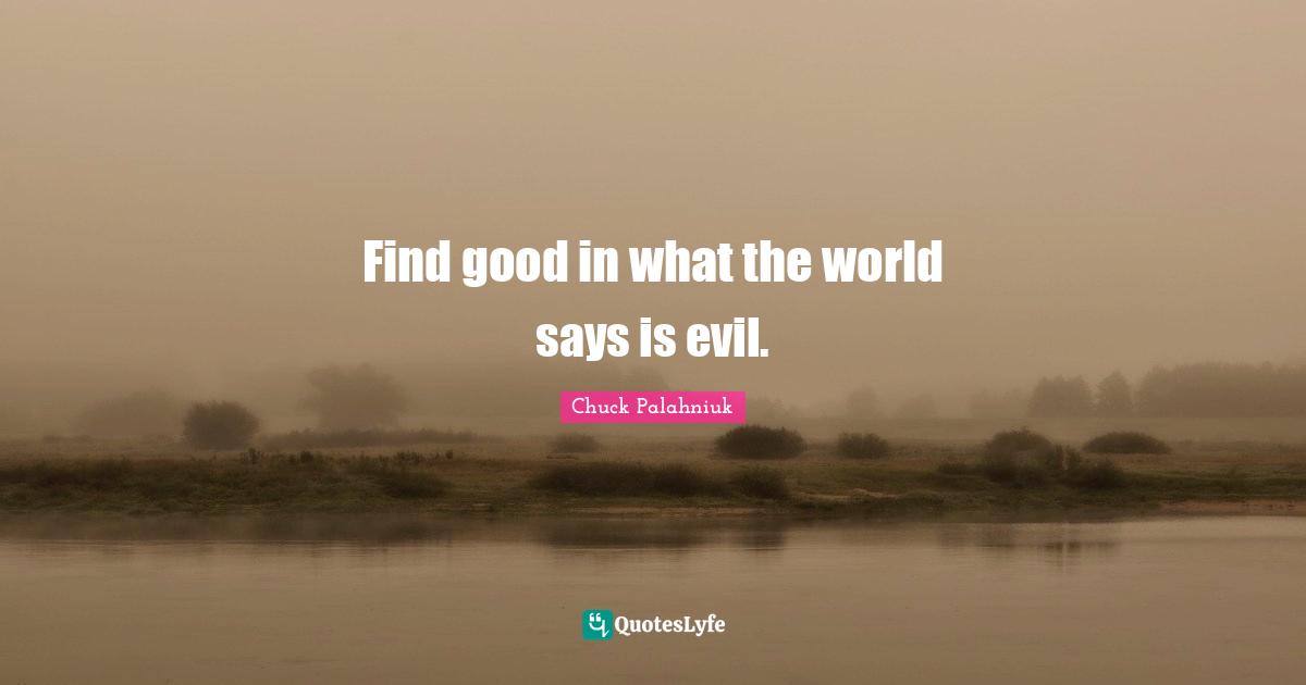 Invisible Monsters Quotes: "Find good in what the world says is evil."