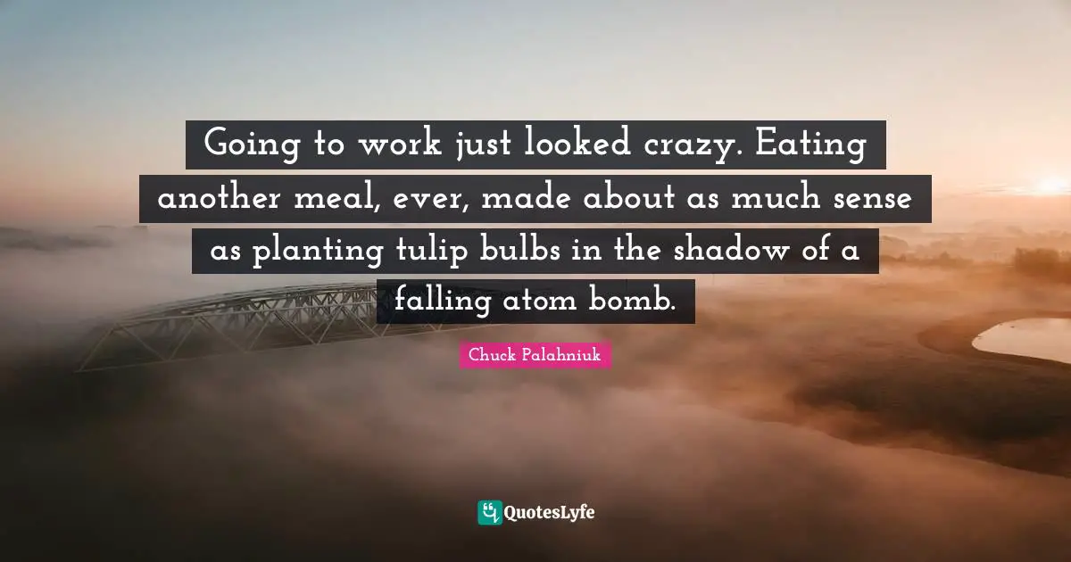 Going to work just looked crazy. Eating another meal, ever, made about as much sense as planting tulip bulbs in the shadow of a falling atom bomb.