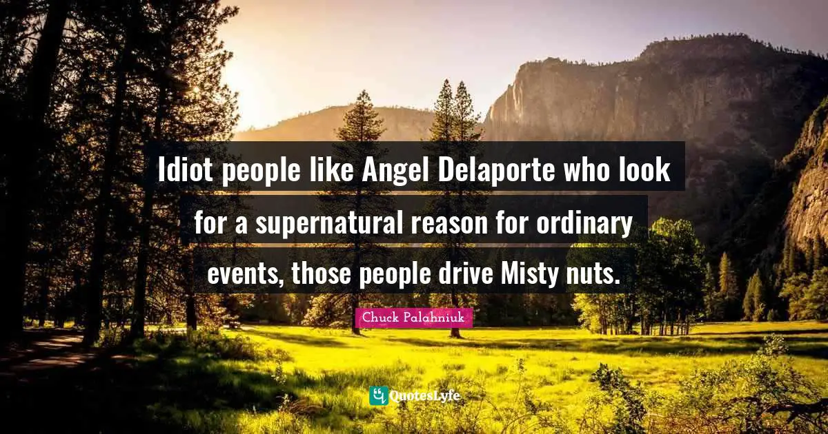 Idiot people like Angel Delaporte who look for a supernatural reason for ordinary events, those people drive Misty nuts.