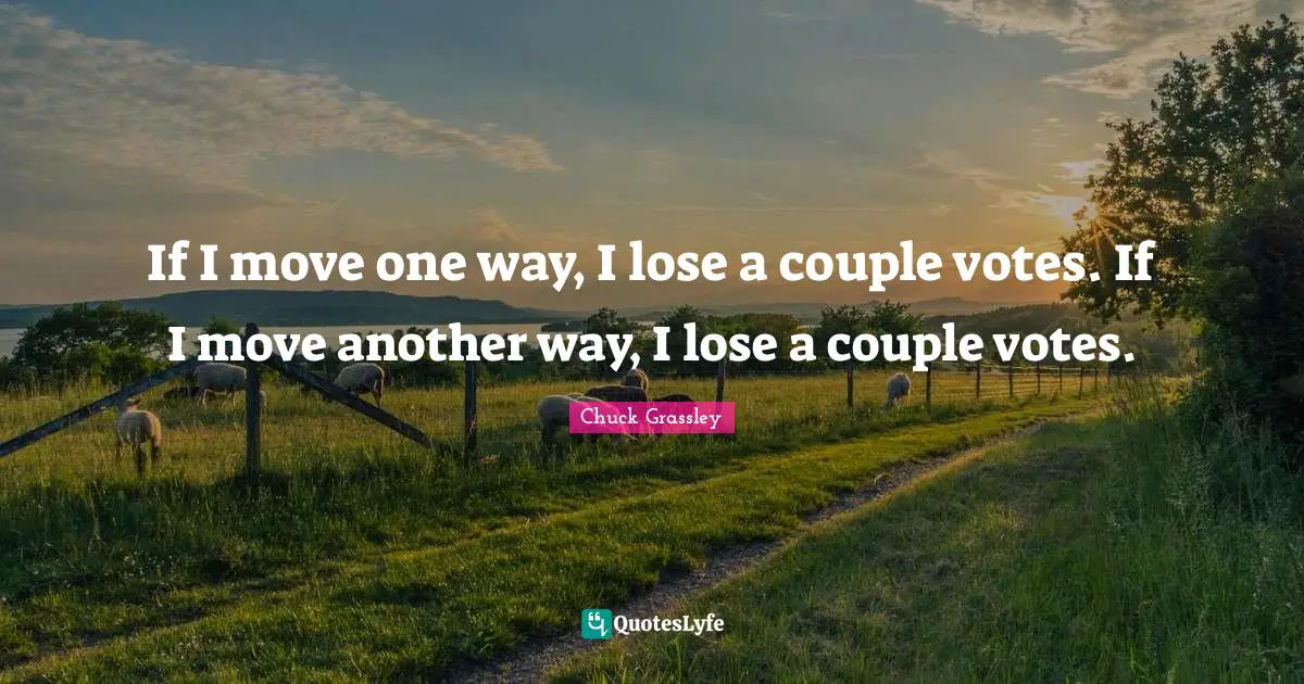 If I move one way, I lose a couple votes. If I move another way, I lose a couple votes.