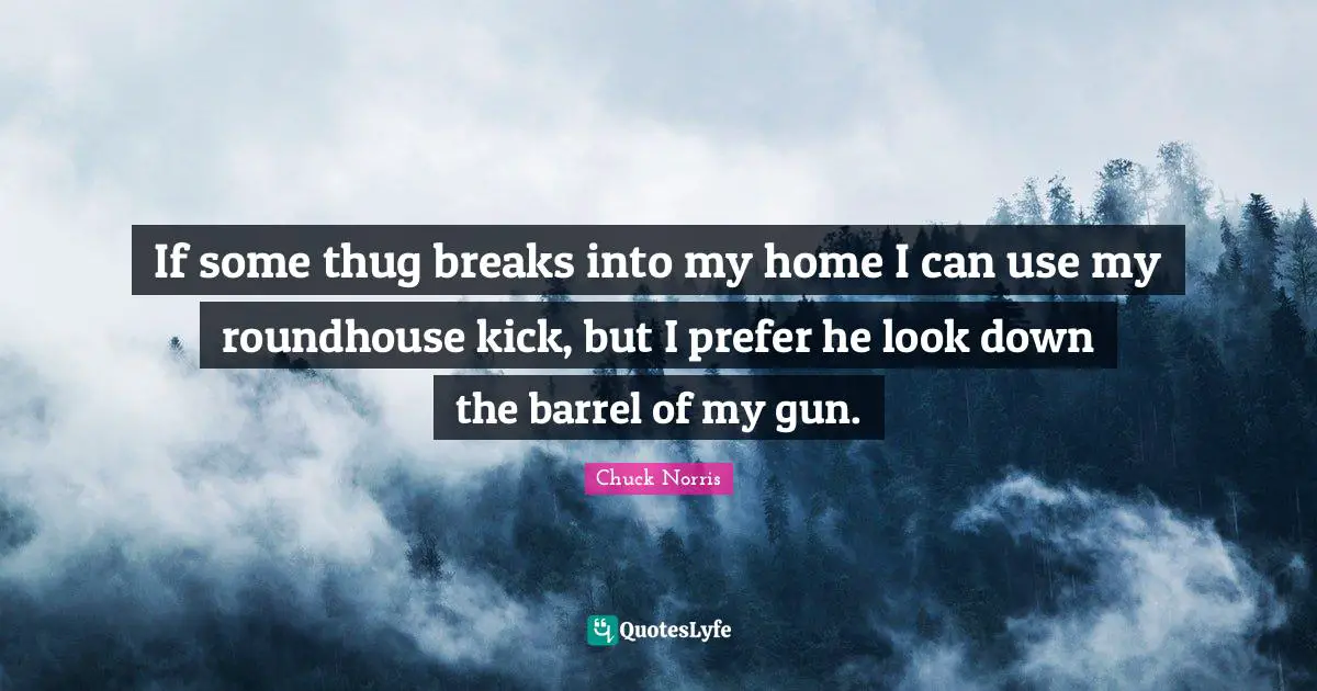 Chuck Norris Quotes: "If some thug breaks into my home I can use my roundhouse kick, but I prefer he look down the barrel of my gun."