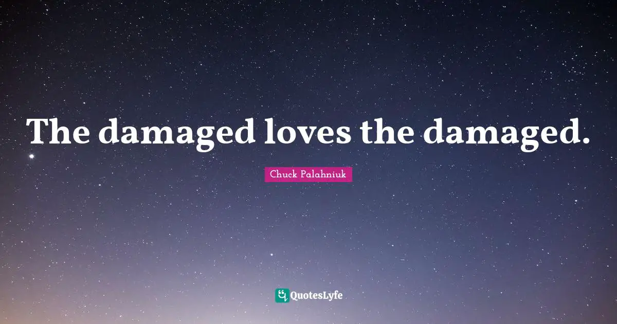 The damaged loves the damaged.