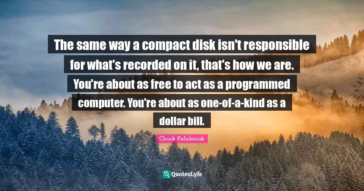 The same way a compact disk isn't responsible for what's recorded on it, that's how we are. You're about as free to act as a programmed computer. You're about as one-of-a-kind as a dollar bill.