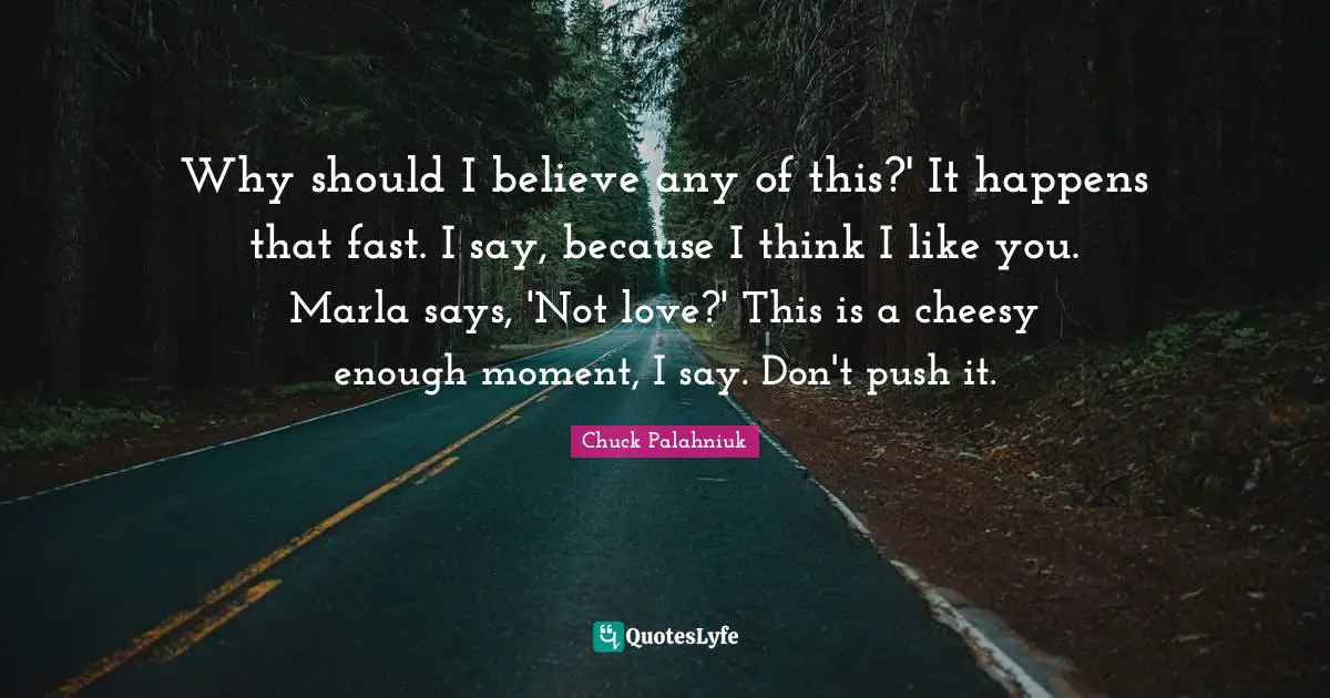 Why should I believe any of this?' It happens that fast. I say, because I think I like you. Marla says, 'Not love?' This is a cheesy enough moment, I say. Don't push it.