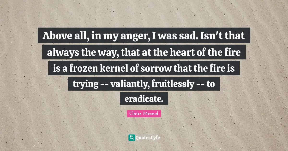 Above all, in my anger, I was sad. Isn't that always the way, that at the heart of the fire is a frozen kernel of sorrow that the fire is trying -- valiantly, fruitlessly -- to eradicate.