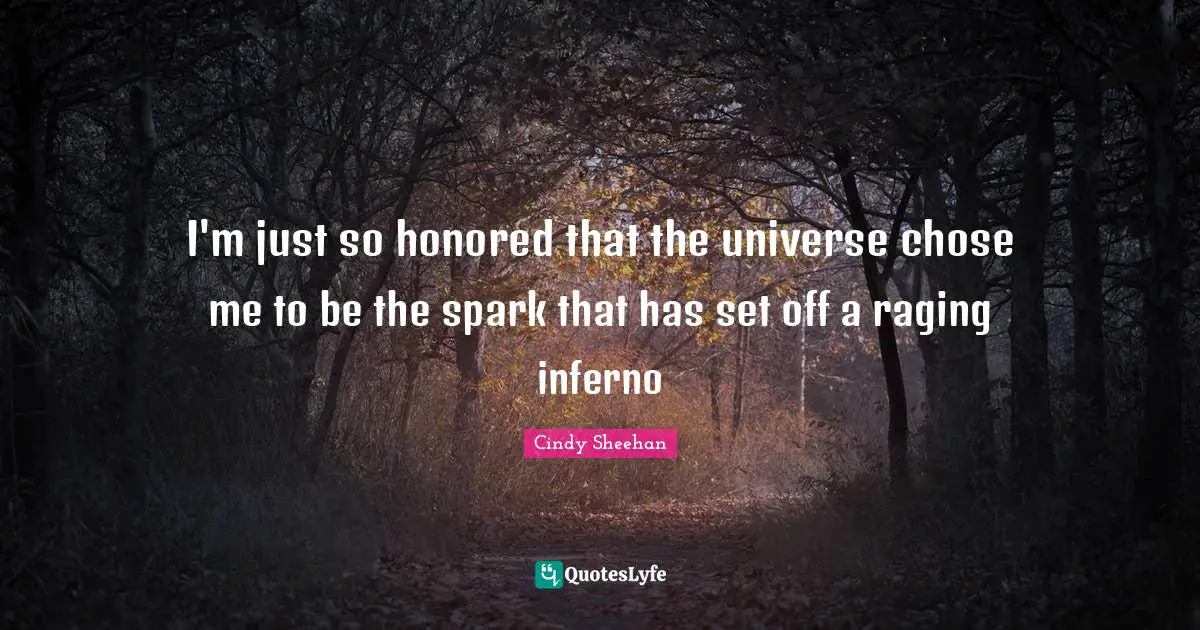 Cindy Sheehan Quotes: "I'm just so honored that the universe chose me to be the spark that has set off a raging inferno"