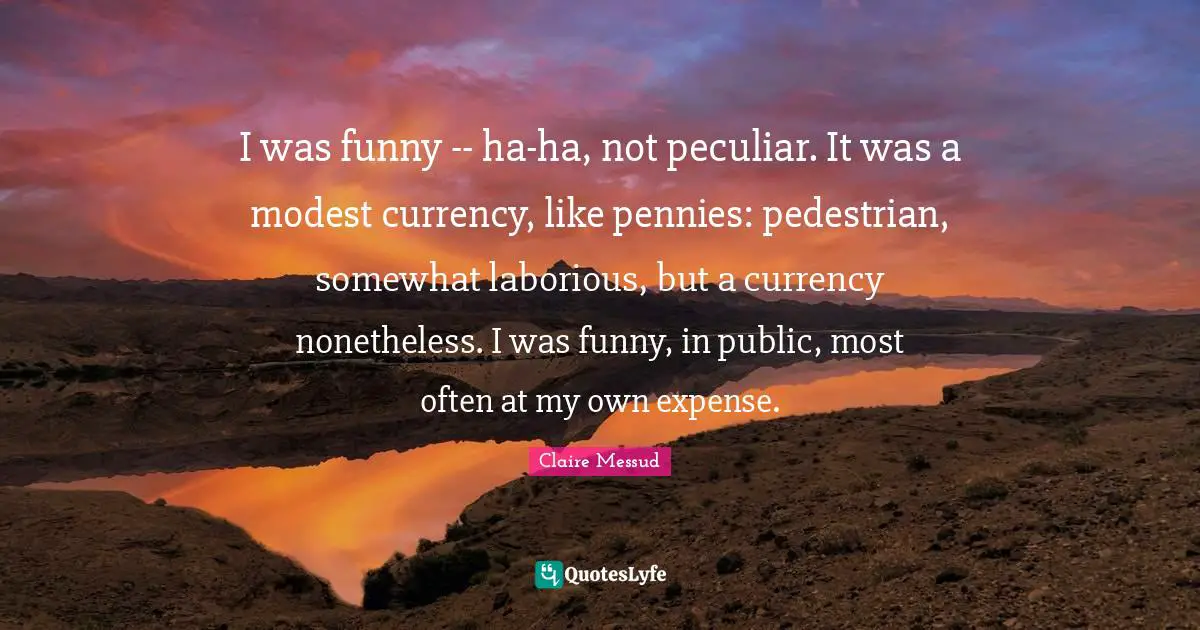 I was funny -- ha-ha, not peculiar. It was a modest currency, like pennies: pedestrian, somewhat laborious, but a currency nonetheless. I was funny, in public, most often at my own expense.