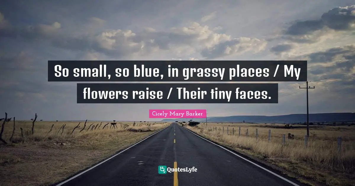 So small, so blue, in grassy places / My flowers raise / Their tiny faces.
