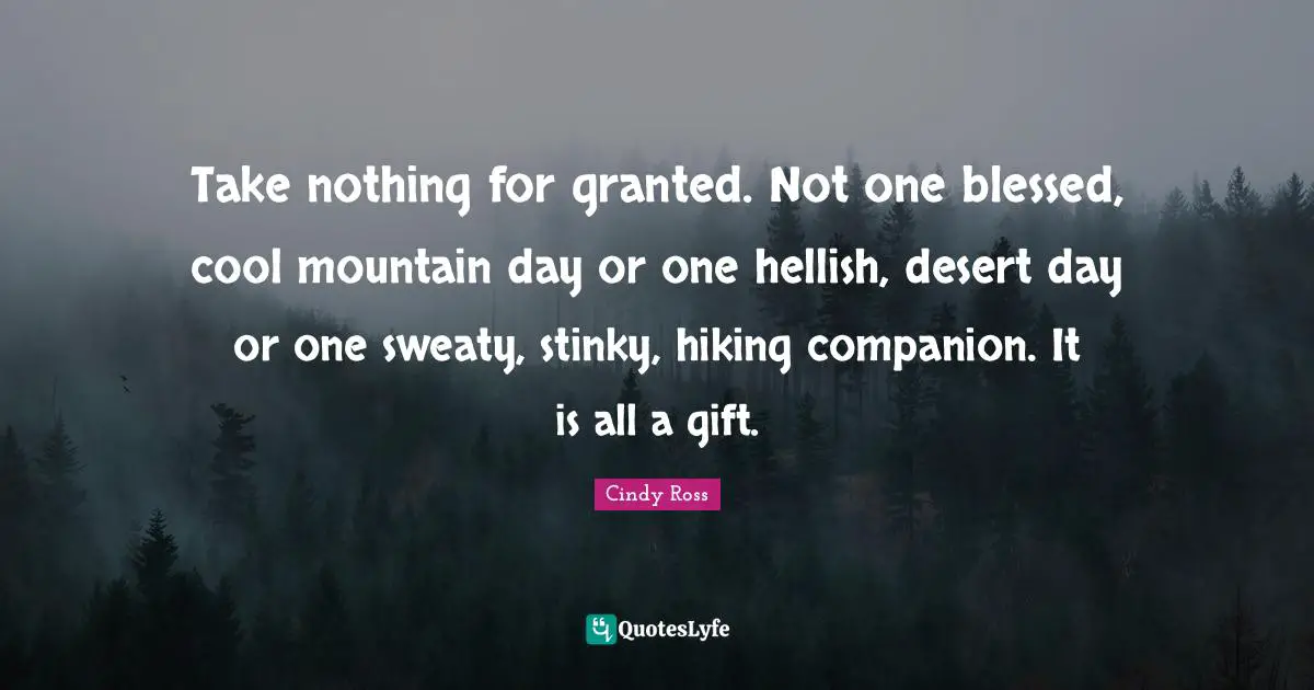 Take nothing for granted. Not one blessed, cool mountain day or one hellish, desert day or one sweaty, stinky, hiking companion. It is all a gift.