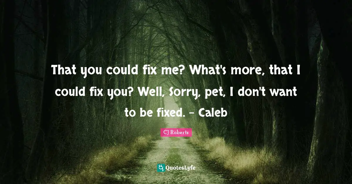 That you could fix me? What's more, that I could fix you? Well, Sorry, pet, I don't want to be fixed. - Caleb