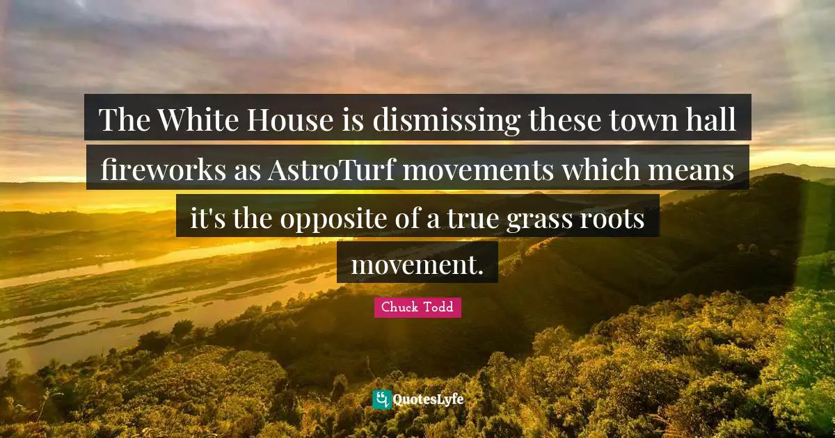 Chuck Todd Quotes: "The White House is dismissing these town hall fireworks as AstroTurf movements which means it's the opposite of a true grass roots movement."