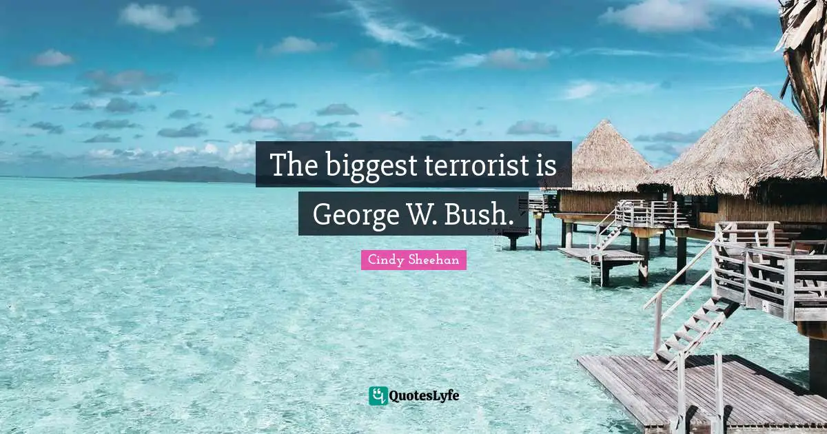 Cindy Sheehan Quotes: "The biggest terrorist is George W. Bush."
