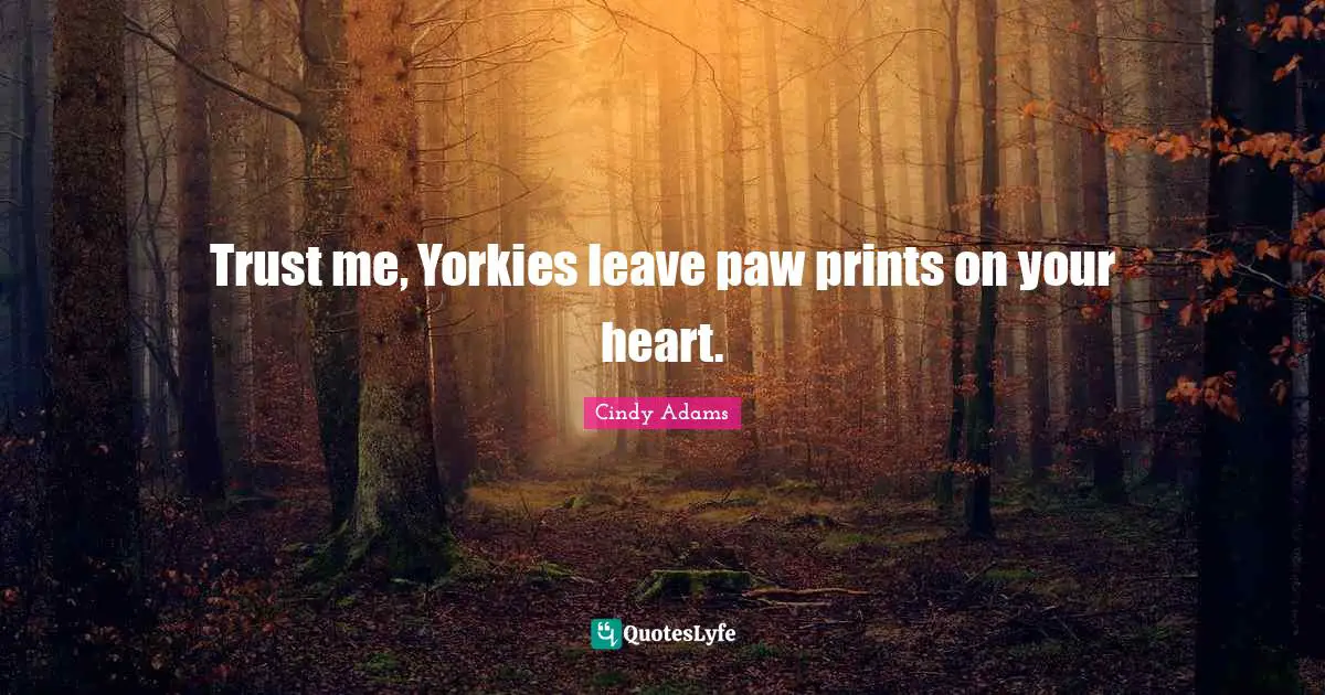 Paw Prints Quotes: "Trust me, Yorkies leave paw prints on your heart."