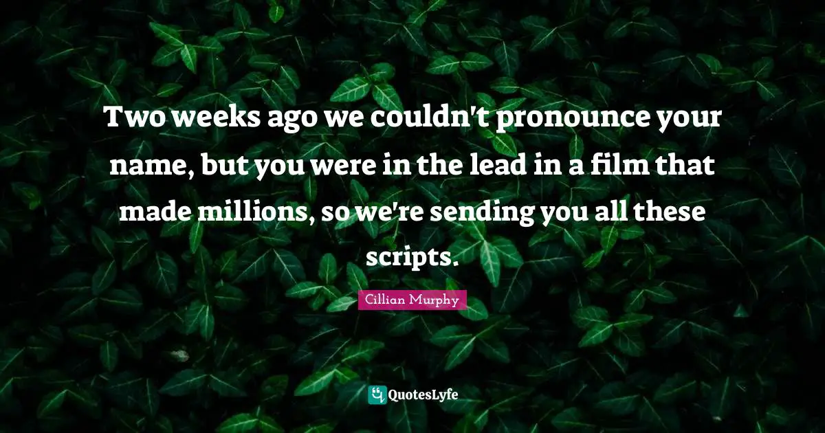 Cillian Murphy Quotes: "Two weeks ago we couldn't pronounce your name, but you were in the lead in a film that made millions, so we're sending you all these scripts."