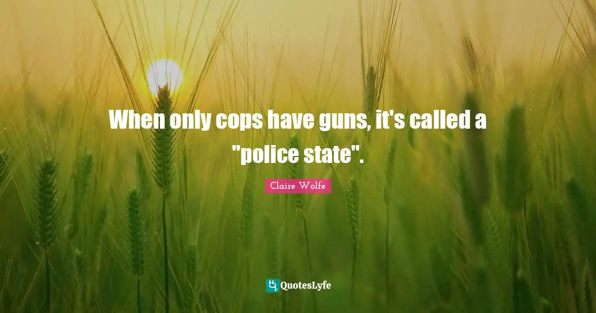 When only cops have guns, it's called a "police state".