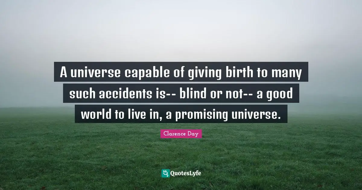 A universe capable of giving birth to many such accidents is-- blind or not-- a good world to live in, a promising universe.