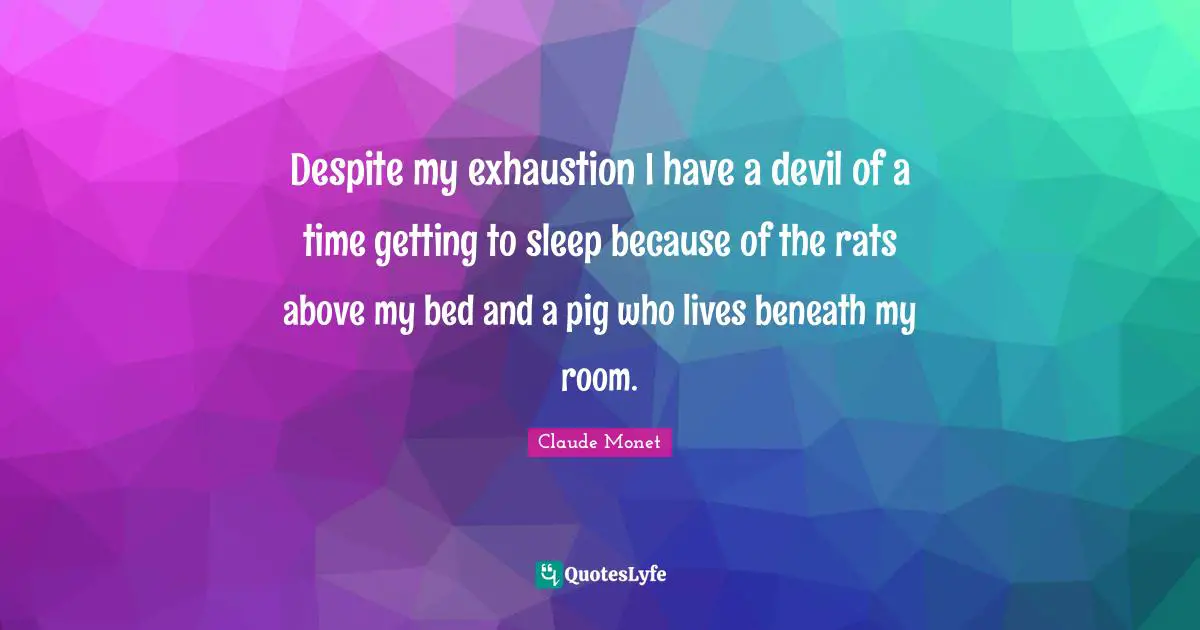 Despite my exhaustion I have a devil of a time getting to sleep because of the rats above my bed and a pig who lives beneath my room.