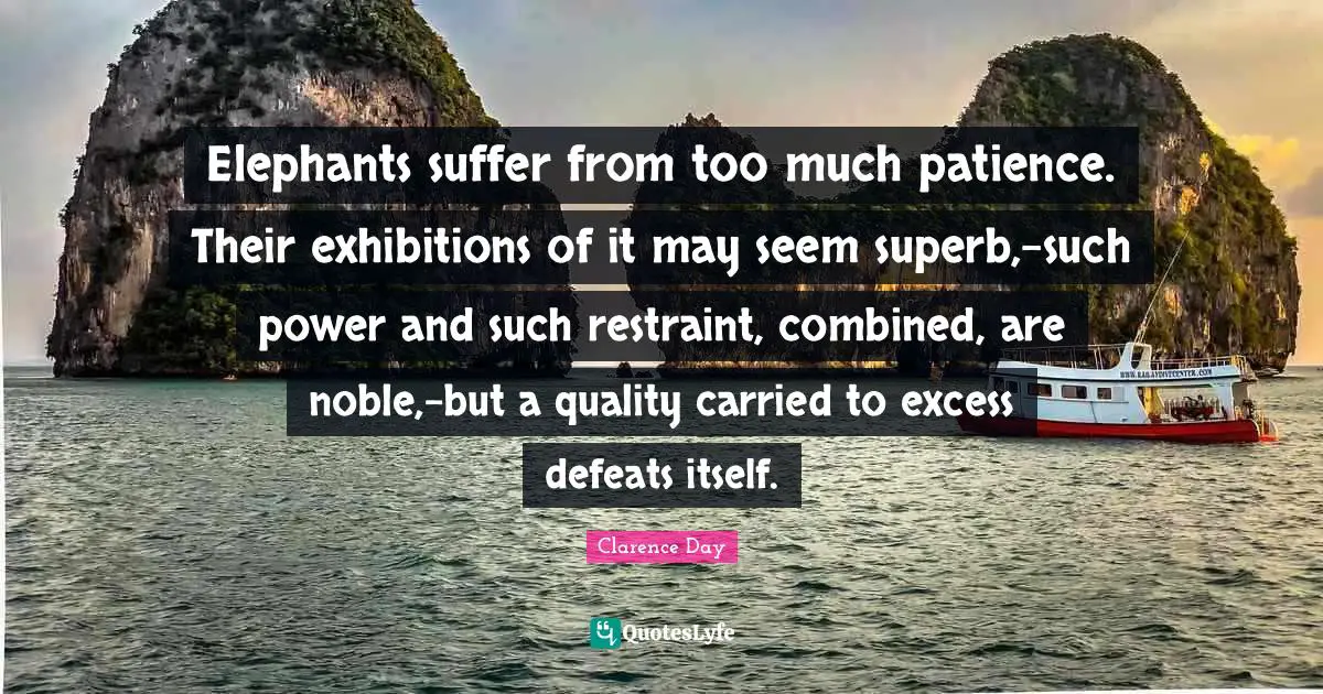 Superb Quotes: "Elephants suffer from too much patience. Their exhibitions of it may seem superb,-such power and such restraint, combined, are noble,-but a quality carried to excess defeats itself."