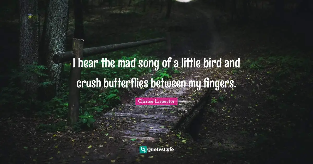 I hear the mad song of a little bird and crush butterflies between my fingers.
