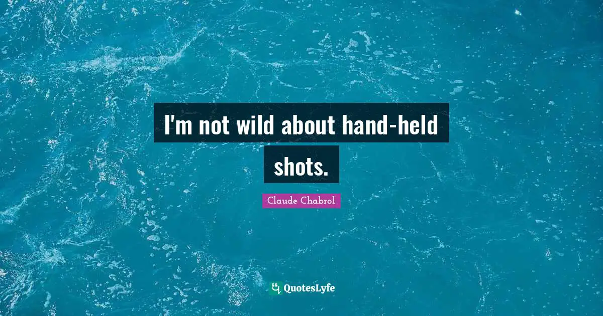 I'm not wild about hand-held shots.