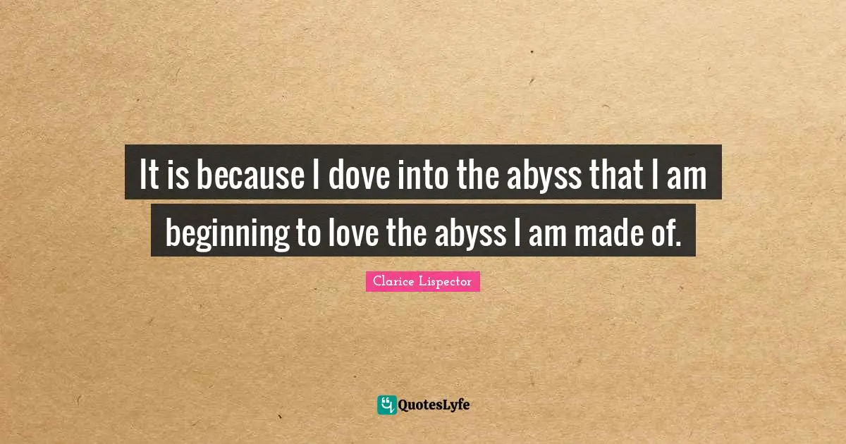It is because I dove into the abyss that I am beginning to love the abyss I am made of.
